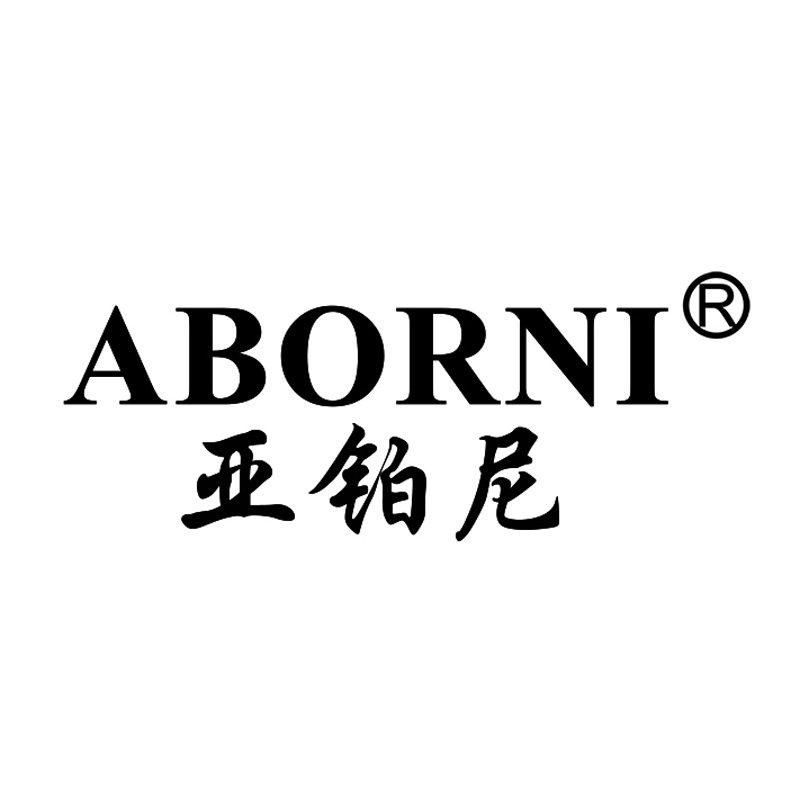 亚铂尼手表专柜官方店的LOGO
