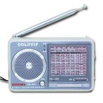Gold GOLDYIP RA-1001 10 Band Pointer Radio