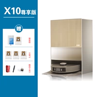 X10 Эксклюзивная версия стандарт+пылесос*3