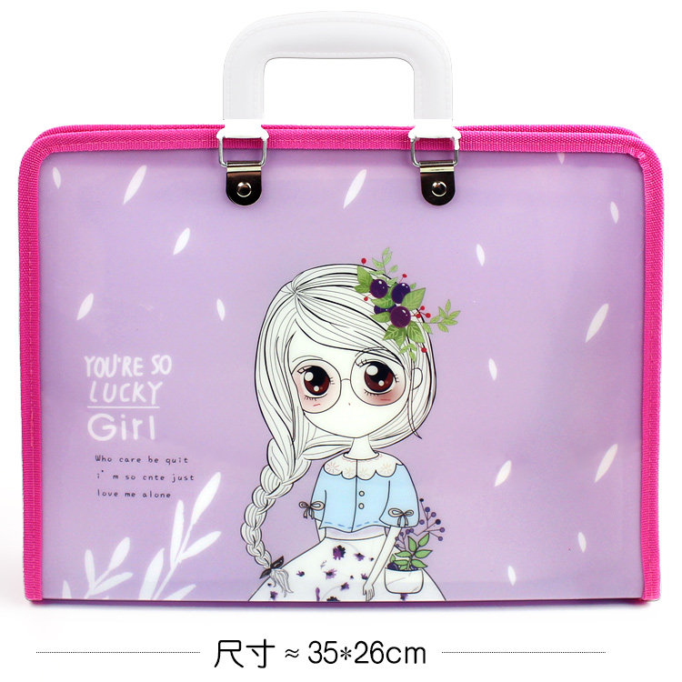 a4 Multilayer Laced File Bag Student Cartoon Exam Paper Containing Folder Flower Princess Organ Package Wholesale