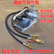 New household 220v liquefied gas guide pump car 48v12v gas guide machine large bottle guide small bottle air pump