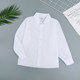 Spring and Autumn Children's Clothing Unisex Girls Shirts Round Tip Lapel Boys Middle and Small Children's Bottoming Long Sleeve Shirts College Style