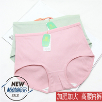 Xinjia womens underwear plus fat abdominal lift high waist cotton crotch antibacterial mother triangle shorts head 5233