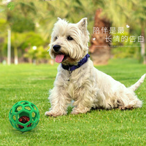 Dog toy ball vocal and bite resistant bell ball elastic large dog gold wool puzzle rubber toy small dog teddy