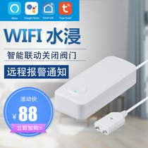 Graffiti smart APP home wireless full alarm flooded water leak detector room flooded alarm