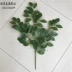 Mô phỏng lá osmanthus trang trí lá nhựa cành cây bạch đàn lá bạch đàn lá thường xanh cây bạch đàn trồng cành giả - Hoa nhân tạo / Cây / Trái cây