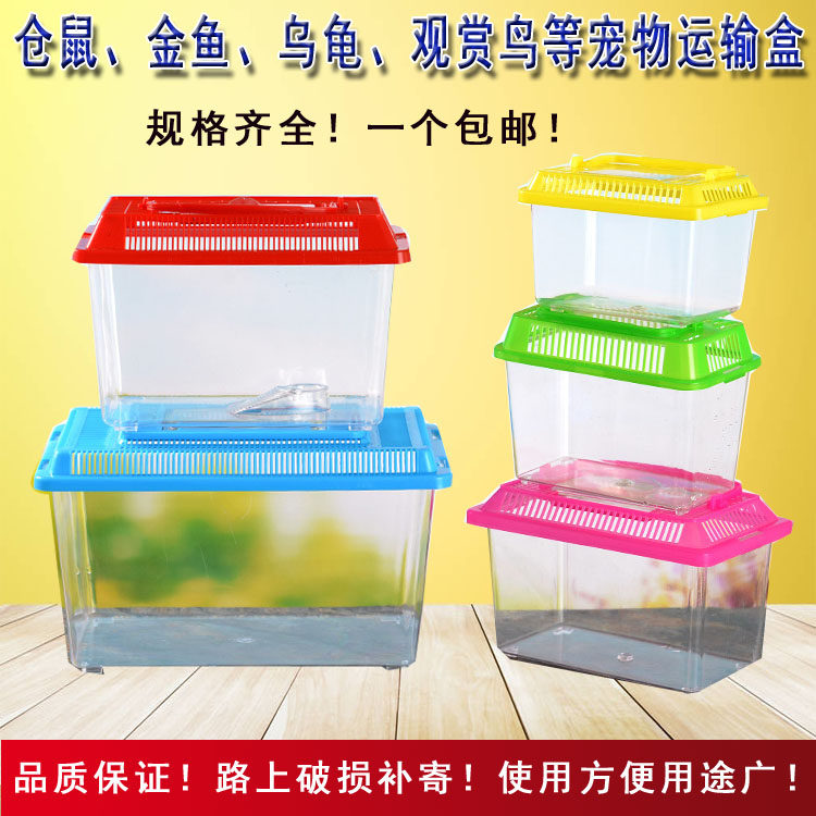 Hamster transport box takeaway box turtle box goldfish transparent plastic box transport box delivery special report loss