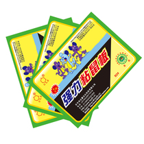 Dachao B2# strong sticky mouse board sticky mouse glue rat trap rat killer mouse sticker 20 sheets