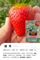 [Spot] yuexiu 15см горшок