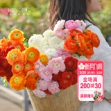 海蒂的花园 Цветочный мех