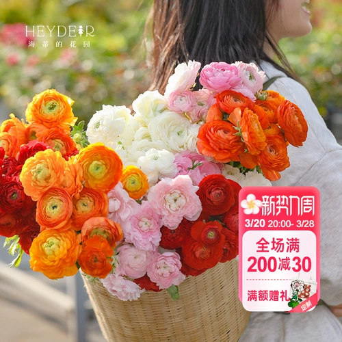 海蒂的花园 Цветочный мех