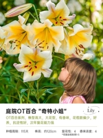 [OT LILY] Мисс Стрэндж 18/20 (3 гола)