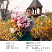 Из белого нефрита