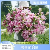 海蒂的花园 Парфюмельная лилия Осенняя порода, тяжелые пефальные духи импортированные корни блоков в этом году