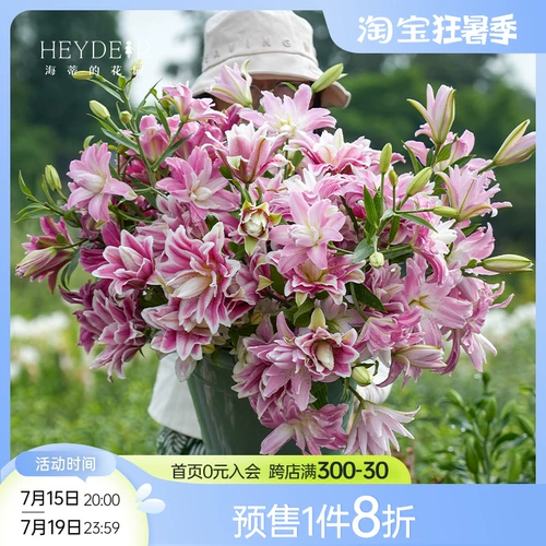 海蒂的花园 Парфюмельная лилия Осенняя порода, тяжелые пефальные духи импортированные корни блоков в этом году