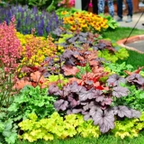 Сад Хайди противостоять четырем сезонам саженцев из листьев