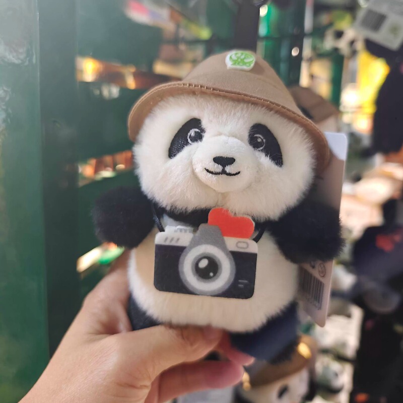Spot Hongshan Zoo Travel Panda Travel Giant Panda Hanging Camera Wearing Fisherman Hat Swing Giant Panda