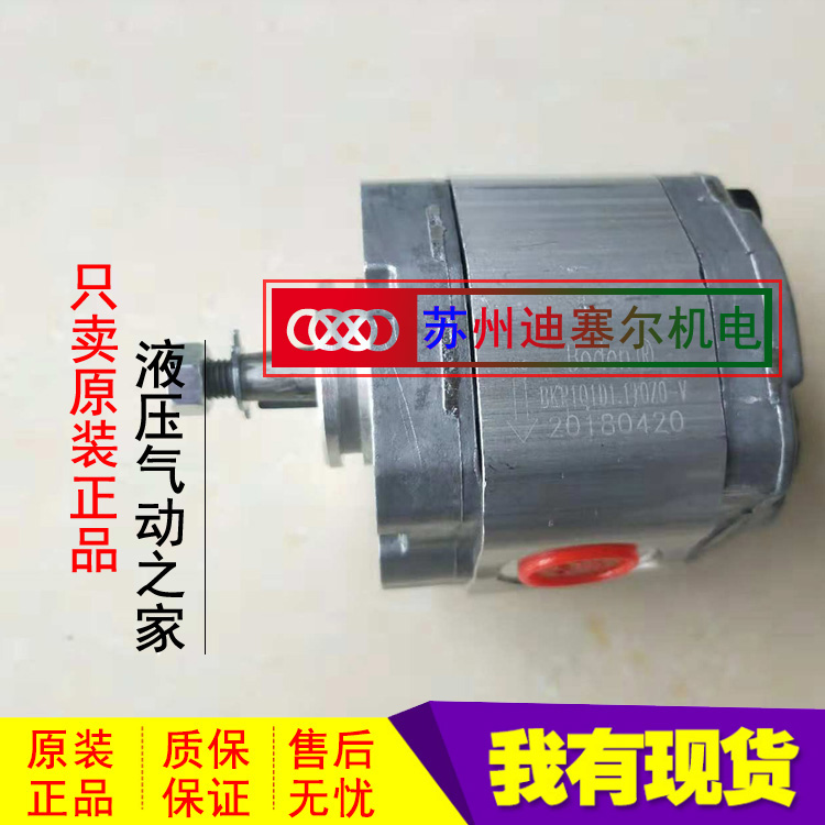 Boden gear pump BKP1Q1D0 8 BKP1Q1D1 3 1Q1D1 6 BKP1Q1D1 1T0Z0-V