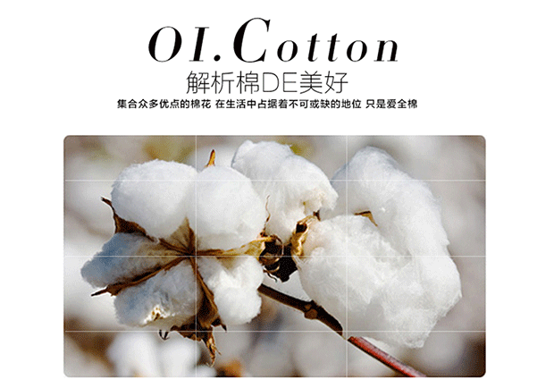 Giường bông Khăn trải giường đơn 1,8 mét khăn trải giường bằng vải bông chống trượt nệm phủ bụi phủ giường xô 1.2 - Trang bị Covers Ga chun chần Everon