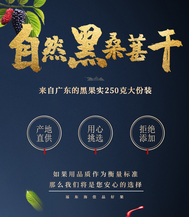 福东海 黑桑葚干 250gx2罐 29.8元包邮 值值值-买手聚集的地方