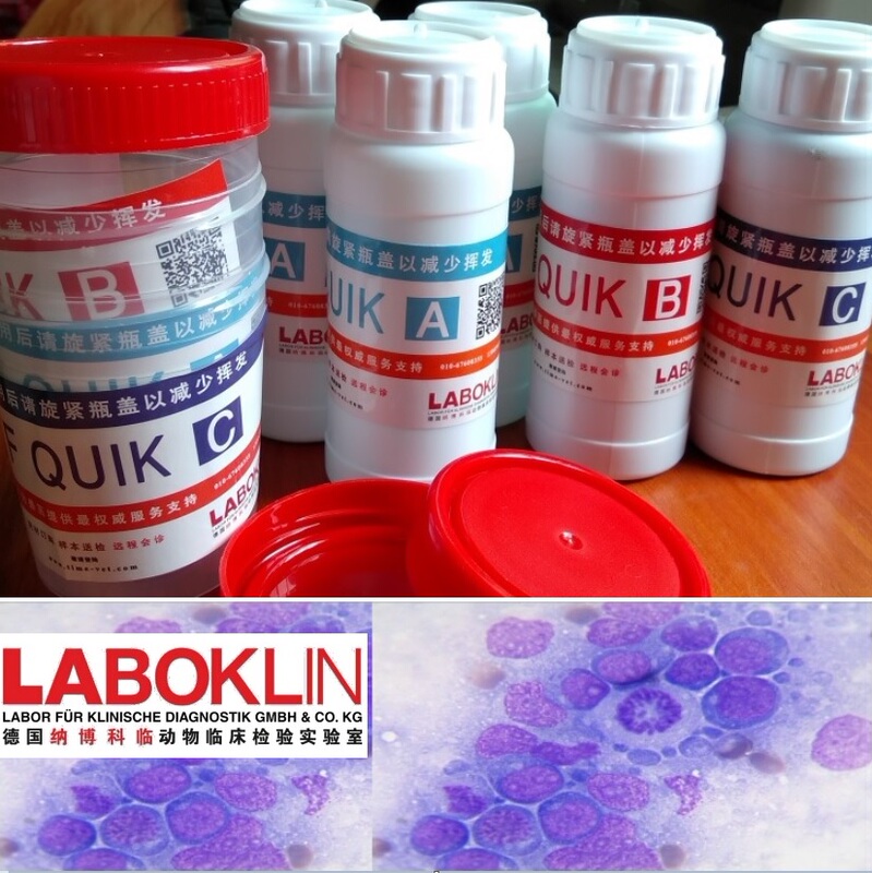 German Laboklin Diff-Quik Stain Rapid Staining Solution