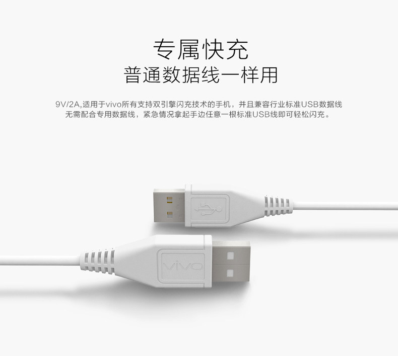 chargeur VIVO - Ref 1293446 Image 21