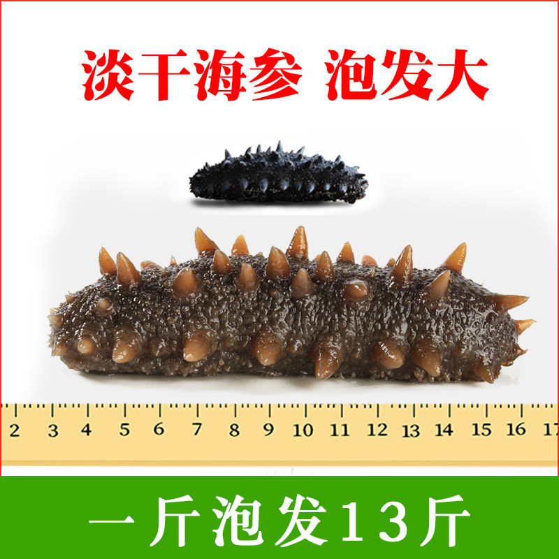 Dalian Lightly Dried Sea Cucumber Dry Cargo 50g