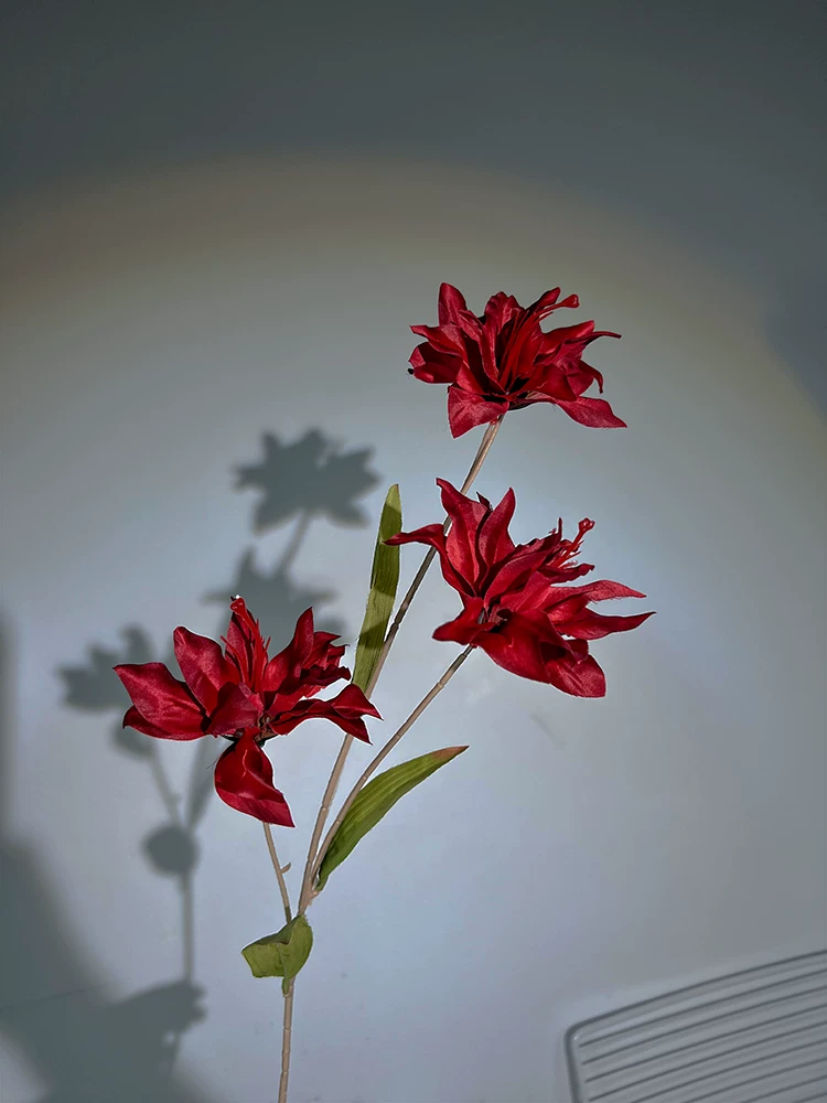 В моем сердце Баюгуан [Simulation Flower] идёт с жемчужным светом! Нежный и меланхоличный ветер чип шелковые цветы Искусственные цветы