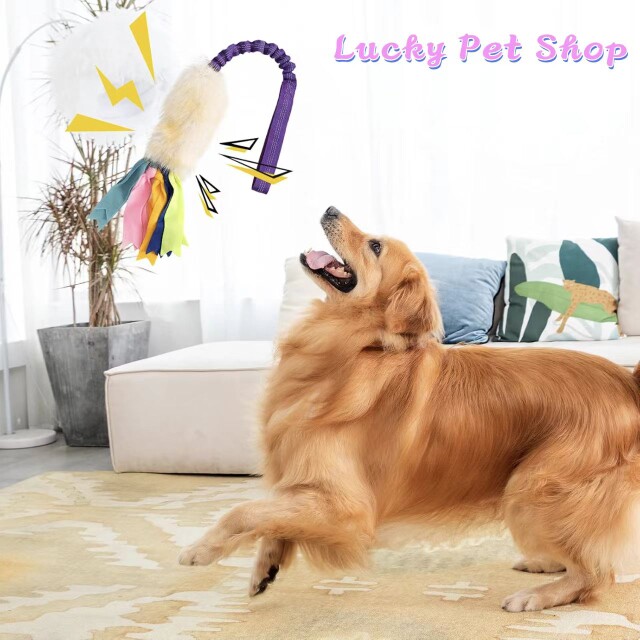 lucky pet shop的LOGO