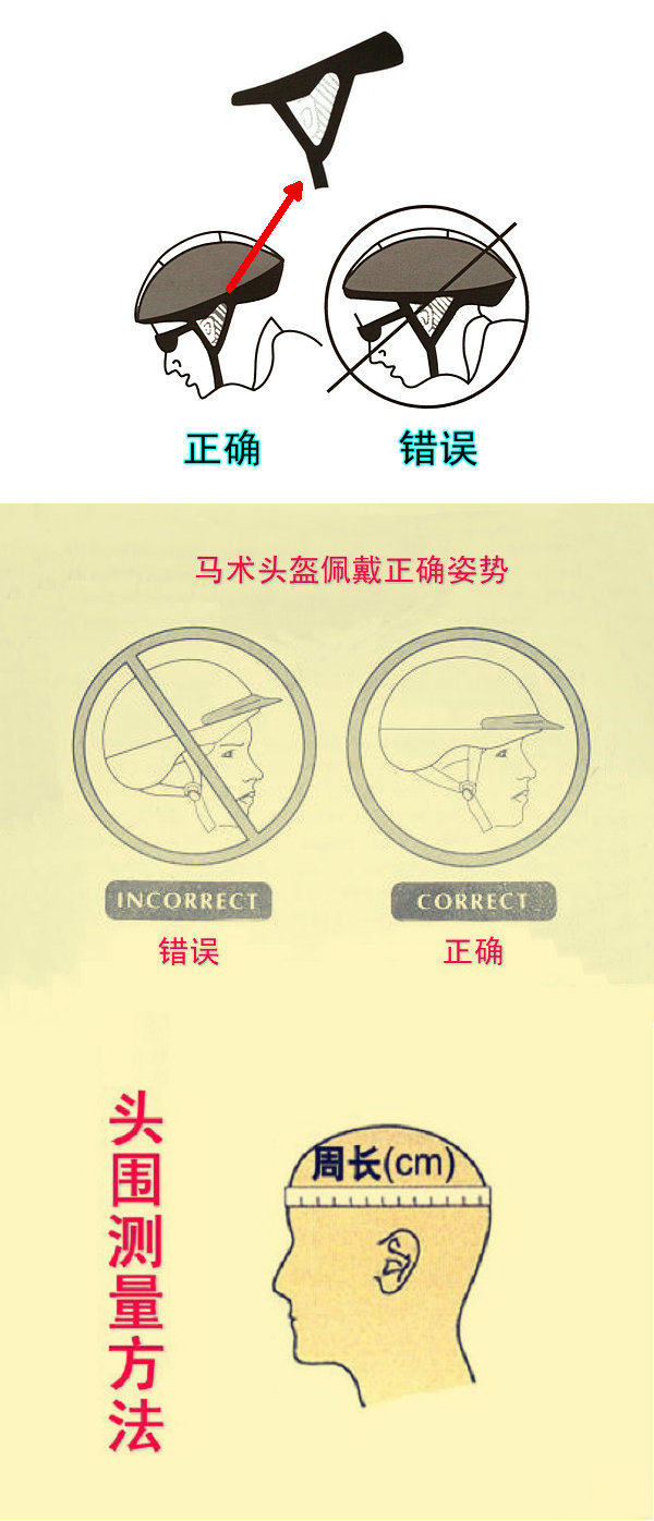 Article équitation - Ref 1382130 Image 3