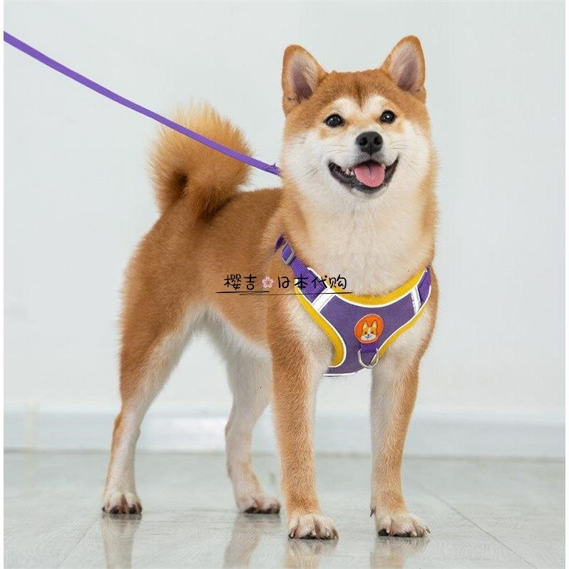Japanese spot dog vest type chest-holding baby bag traction rope suede suede small dog cat dog holding baby bag reflective walking dog rope