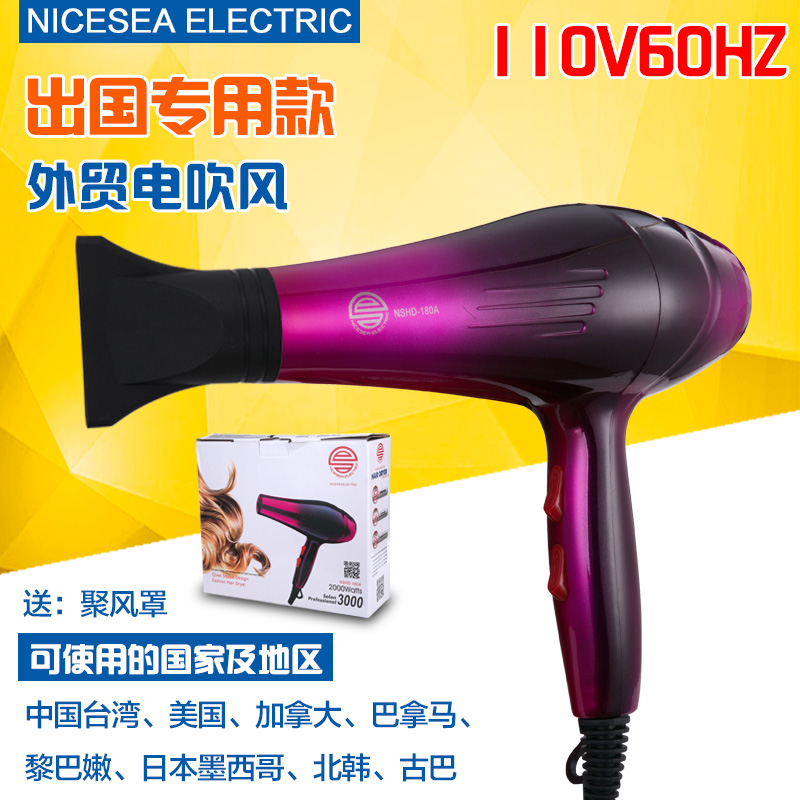 110V HAIR DRYER OUTLET ABROAD SPECIAL PERSONAL CARE HEAD POWER GENERATION HAIR DRYER 60HZ HENGFENG 110 V ELECTRIC HAIR DRYER