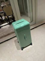 Зеленый бамбук зеленый