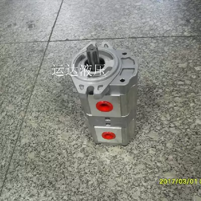 Double gear pump oil pump sanitation vehicle oil pump CBTL-F410 F410ALH