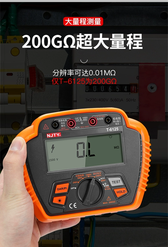 Tianyu Điện Trở Cách Điện Máy Điện Kỹ Thuật Số Megohmmeter 500V1000 Đồng Hồ Thông Minh Máy Đo Cách Điện T-6110