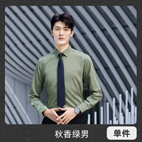 Мужские (длинные рукава) Осенний аромат зеленая рубашка