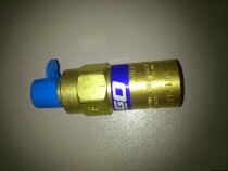 Force high REGO PRV9432 safety valve PRV9432T250 safety release valve PRV9434T release valve