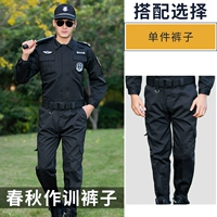 Осенние штаны