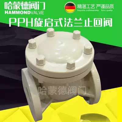 PPH swing-open replica recumbent flange check valve Check valve Valve Chemical grade acid and alkali resistance and corrosion resistance
