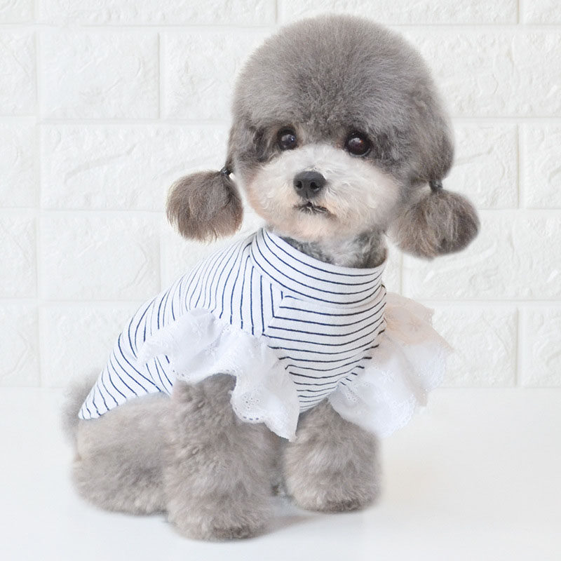 Dogs clothes 2022 new summer thingies Princess lace T-shirt cute striped female teddy Beaumeins two feet