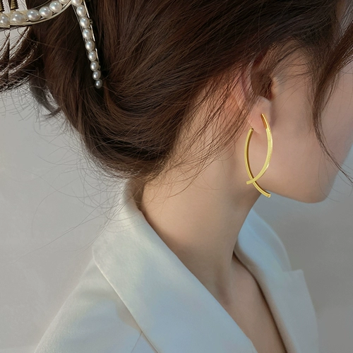 Z小姐 Небольшие дизайнерские серьги, 2025 года, популярно в интернете, тренд сезона