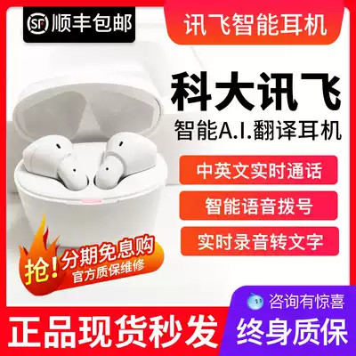 IFLYFLYTE iFLYBUDS Smart Headphones Recordable Bluetooth Headset Wireless Noise Reduction Headset