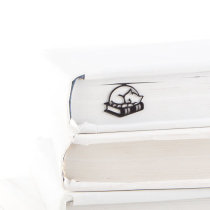 Spot Ukraine Dmitriy upscale refined kitty asleep with creative art retro metal small crowdbook