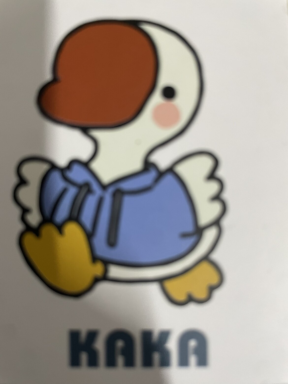 卡卡的童装店