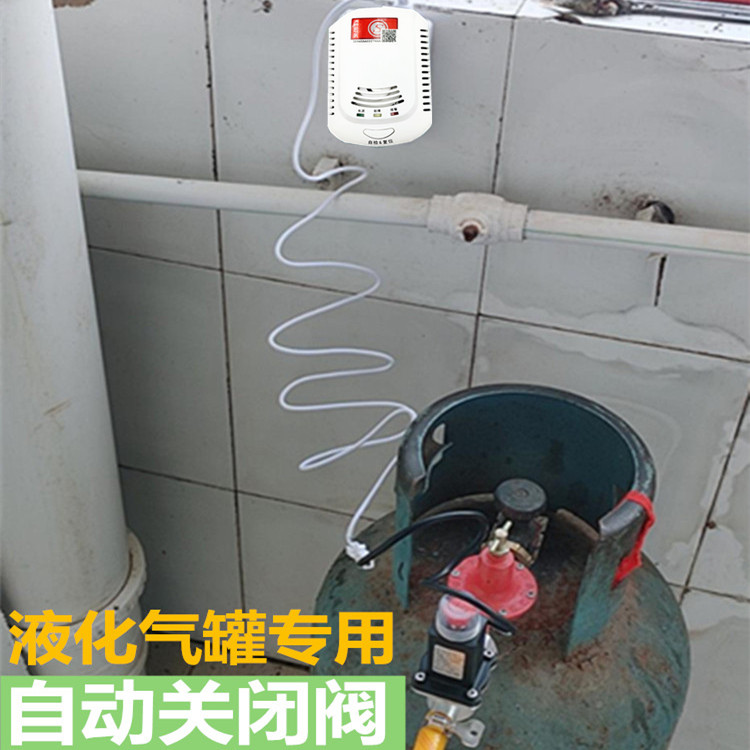 Automatic gas cut-off gas alarm with self-closing valve Household natural gas liquefied gas kitchen gas electromagnetic shut-off valve