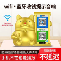 Luckai Cat Bluetooth with WiFi dual-mode cashier WeChat collection treasure money Code wireless small audio broadcaster
