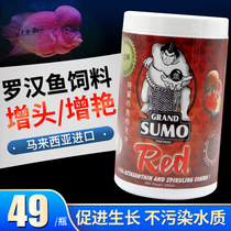 Luohan fish feed Malaysian sumo pomohan fish feed increase head and color head fish food fish food feed