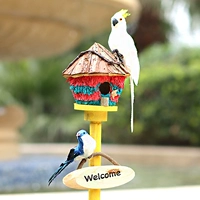 № 9 Зерночный +1 белый попугай 1 Голубая птица