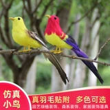 Моделирование перьев птиц реквизит свинг пена поддельные птицы детское садовый кольцо -кольцо с стеной -окно садового магазина и отделка отделения