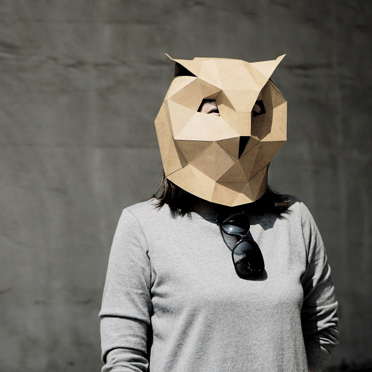 Owl Headgear Creative DIY Handmade Internet Celebrity Mask Paper Mold Halloween Masquerade Party Vibrato Props